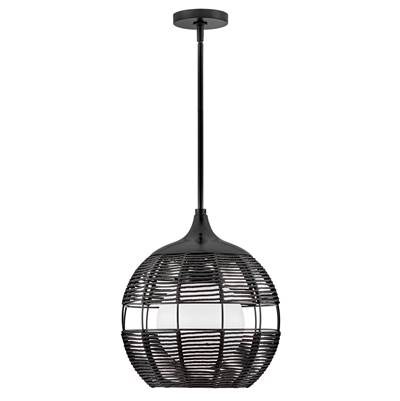 Hinkley Lighting Maddox Medium Orb Pendant in Black