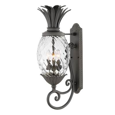 Hinkley Lighting Plantation Medium Wall Lantern in Museum Black