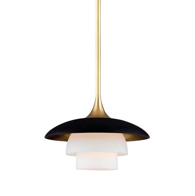 Hudson Valley Barron Pendant in Aged Brass