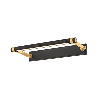 Hudson Valley Lighting Duell Picture Light in Aged Brass