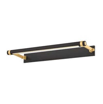 Hudson Valley Lighting Duell Picture Light in Aged Brass