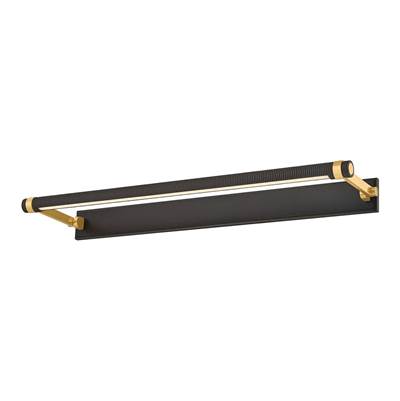 Hudson Valley Lighting Duell Picture Light in Aged Brass