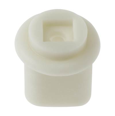 Stem Adapter
