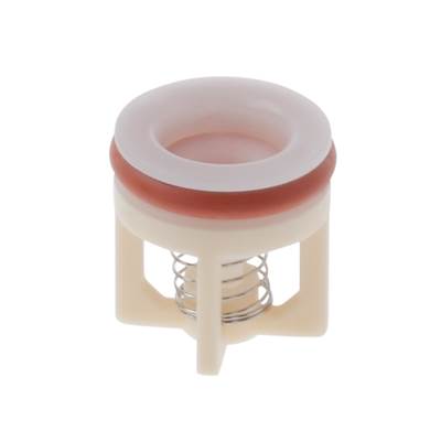 Check Valve