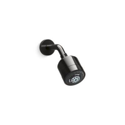 Kallista Contemporary Multi-Function Shower Head - 1.75 GPM in Polished Graphite