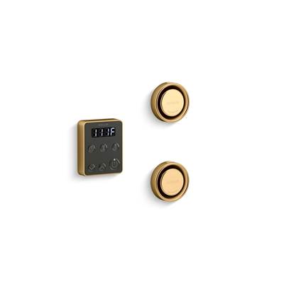 Invigoration Series Tandem steam generator control kit - Vibrant Brushed Moderne Brass