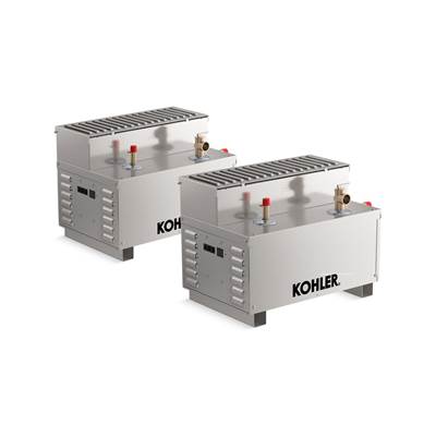 Invigoration Series 26 kW steam generator