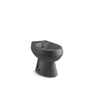 Kohler | San Tropez | Floor Mounted Bidet - Thunder Grey