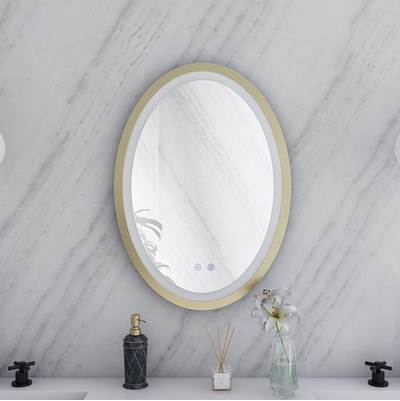 Maidstone 20" x 28" Oval Lighted Mirror - Anti-Fog in Stainless Steel