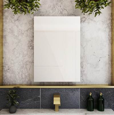Maidstone Mirror Single Door Medicine Cabinet - 20" x 28" in Stainless Steel