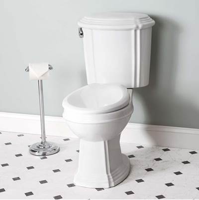 Maidstone Two Piece Toilet in White
