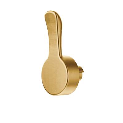 HANDLE KIT BG - Brushed Gold
