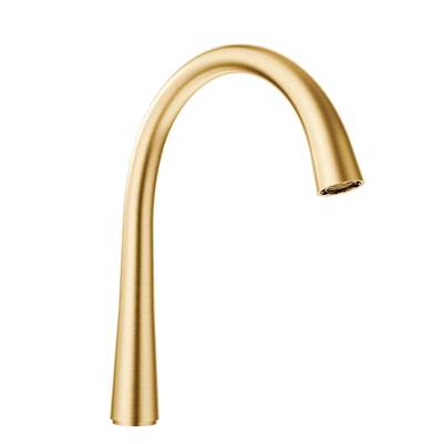 Moen SPOUT KIT BG - Brushed Gold