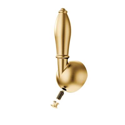 HANDLE LEVER, SCREW & PLUG BUTTON BG - Brushed Gold