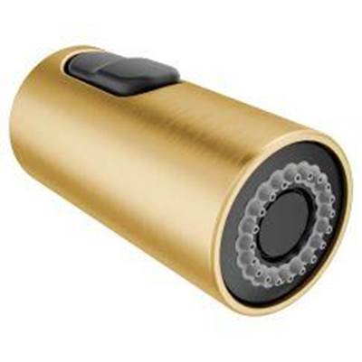 Moen WAND KIT - Brushed Gold