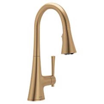 Bronzed gold (bzg) one-handle filtering pulldown kitchen faucet