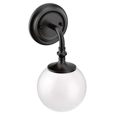 Moen Matte Black One Globe Bath Light