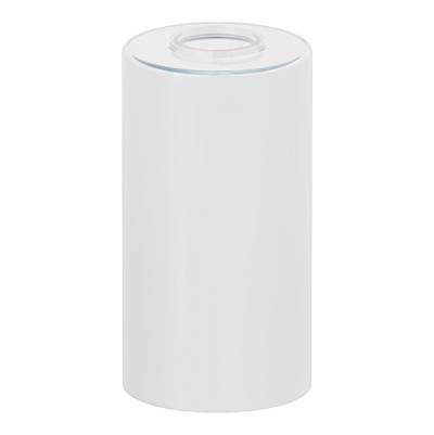 Moen Replacement Globe