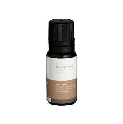 Mr. Steam Essential Aroma Eucalyptus Essential Oil - 10 mL