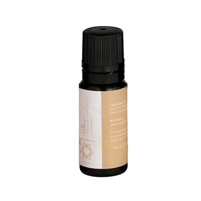 Mr. Steam Chakra Aroma Invigorating Orange Essential Oil - 10 mL