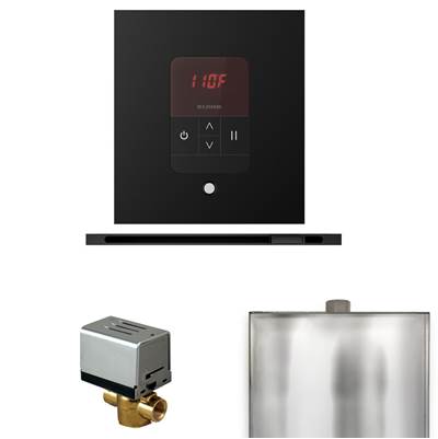 Mr. Steam Basic Butler Steam Shower Package - Square iTempo Control with Linear Steamhead in Matte Black