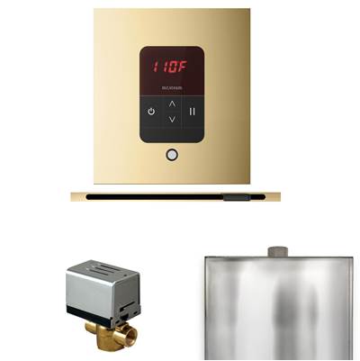 Mr. Steam Basic Butler Steam Shower Package - Square iTempo Control with Linear Steamhead in Polished Brass