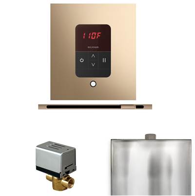 Mr. Steam Basic Butler Steam Shower Package - Square iTempo Control with Linear Steamhead in Polished Gold