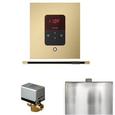 Mr. Steam Basic Butler Steam Shower Package - Square iTempo Control with Linear Steamhead in Satin Brass