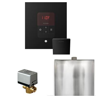 Mr. Steam Basic Butler Steam Shower Package - Square iTempo Control with Linear Steamhead in Matte Black