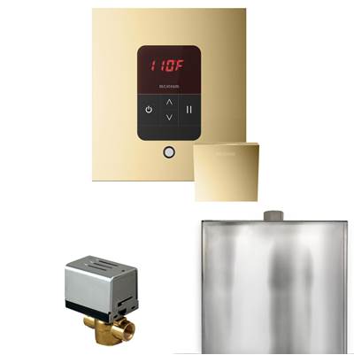 Mr. Steam Basic Butler Steam Shower Package - Square iTempo Control with Linear Steamhead in Polished Brass