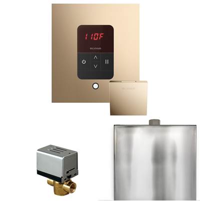 Mr. Steam Basic Butler Steam Shower Package - Square iTempo Control with Linear Steamhead in Polished Gold