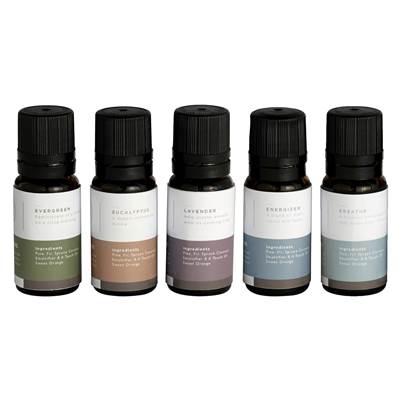 Mr. Steam Essential Aroma Multi-Pack Essential Oil - 10 mL