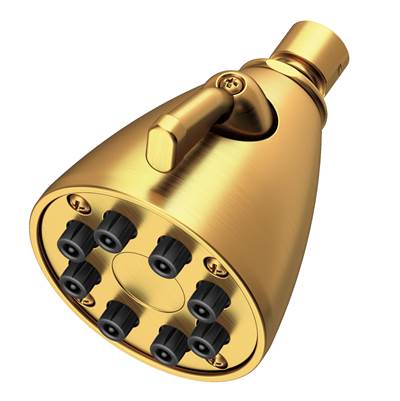 Newport Brass Other Single Function Shower Head - 1.8 GPM in Satin Gold Pvd