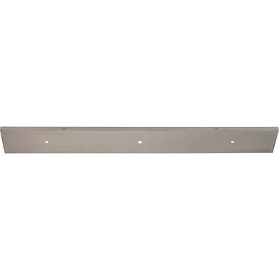 Nuvo 3-Light Canopy in Brushed Nickel