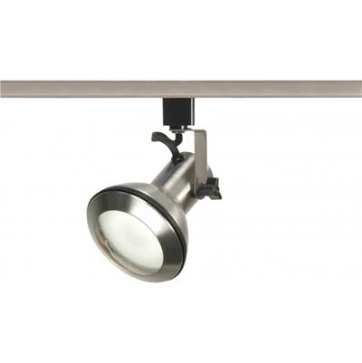 Nuvo Track Head - PAR 30 Euro in Brushed Nickel