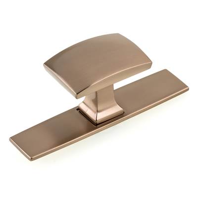 Richelieu America Transitional Wardrobe Cabinet Knob with Backplate - 2245 in Champagne Bronze