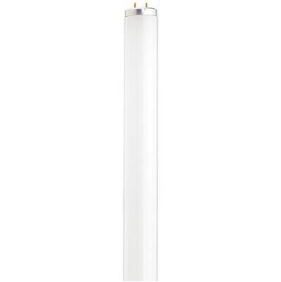 Satco 30 Watt T12 Fluorescent Tube - 3500K Medium Bi-Pin Base in White