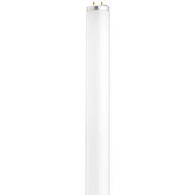 Satco 15 Watt T12 Fluorescent Tube - Daylight in Frost