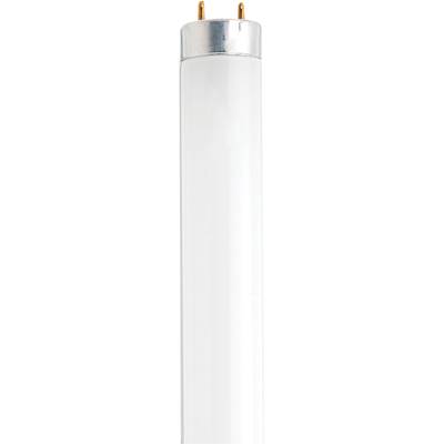 Satco F13T8 Fluorescent Tube - 12" - Cool White in Frost