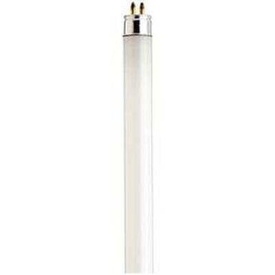 Satco 13 Watt T5 Fluorescent Tube - Daylight 6500K in Steel