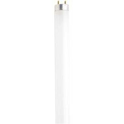 Satco Sylvania 17W T8 Fluorescent Tube - Neutral White in Frost