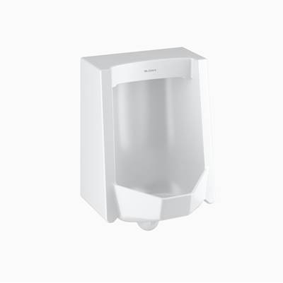 Sloan SU1019A-STG Urinal Fixture Assembly - Rough-in - Universal
