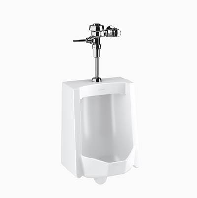 Sloan WEUS1000.1001 Urinal Combo - 0.125 GPF Flush Valve in No Finish