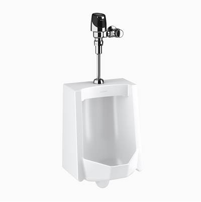 Sloan WEUS1000.1201 Urinal Combo - 0.125 GPF Flush Valve in No Finish