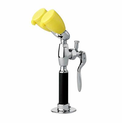 Speakman 8' Drench Hose and Eyewash Combination
