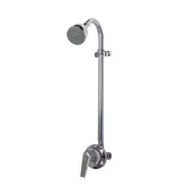 Speakman Sentinel Mark II Exposed Shower System with S-2272-E2 Showerhead - 2 GPM