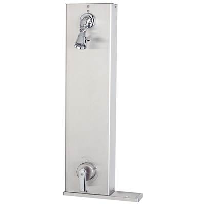 Speakman Sentinel Mark II Exposed Shower System in Stainless Steel - 2.5 GPM