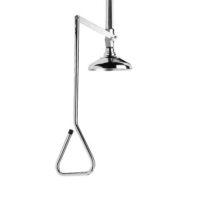 Speakman Lifesaver Vertical Emergency Shower in Stainless Steel