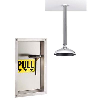 Speakman Lifesaver Ceiling Mounted Vertical Emergency Shower in Polished Chrome