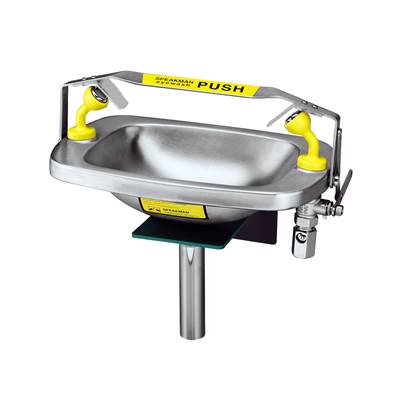 Speakman Select Series Eyewash - Wall Mount in Stainless Steel